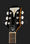 Полуакустическая гитара Epiphone Wildkat AN