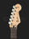 Стратокастер Fender Std Strat HSS Floyd RW BLK