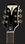 Полуакустическая гитара Epiphone Wildkat Royale