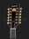 Электрогитара 12-струнная Gretsch G6122T-6212VS Chet Atkins CGWS