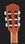 Классическая гитара 4/4 Fender ESC105 Educational 4/4 NT
