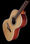 Фолк Ibanez AVT1-NT Tenor Guitar