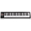 MIDI-клавиатура 49 клавиш Icon iKeyboard 5Nano