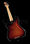 5-струнная бас-гитара Fender AM Pro P Bass V RW 3TS
