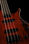 4-струнная бас-гитара Epiphone Toby Deluxe-IV Bass Walnut