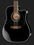 12-струнная гитара Takamine EF381SC
