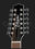 12-струнная гитара Takamine EF381SC