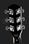 Дредноут Fender Squier SA-105 BK