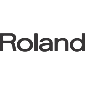 Roland Blip Blop - синтезатор с ретро звуками