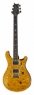 PRS Custom 24 30th Anniv 10Top FVV PRS Custom 24 30th Anniv 10Top FVV