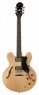 Epiphone The Dot NT CH