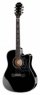 Epiphone Dave Navarro Signature Jane