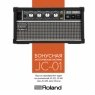 Roland JC-22 + Free Roland JC-01