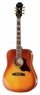 Epiphone Hummingbird Artist HB Epiphone Hummingbird Artist HB