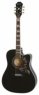 Epiphone Hummingbird Performer Pro EB Epiphone Hummingbird Performer Pro EB