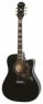 Epiphone Hummingbird Performer Pro EB