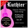 Luthier LU-20SC