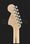 Стратокастер Fender American Special Strat RW 2CSB
