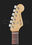 Стратокастер Fender AM Elite Strat RW TBS