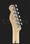 Телекастер Fender Deluxe Nashville Tele DPB