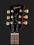 Электрогитара с одним вырезом Gibson Les Paul Faded T 2017 WC