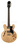Полуакустическая гитара Epiphone The Dot NT CH