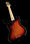 5-струнная бас-гитара Fender AM Pro Jazz Bass V RW 3TS