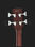 4-струнная акустическая бас-гитара Ibanez PCBE12-OPN