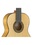 Классическая гитара 4/4 Alhambra Flamenco Conservatory 7FC