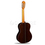 Классическая гитара 4/4 Alhambra Linea Profesional