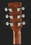 Гитара иной формы Ibanez AC340-OPN Artwood