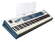 Цифровое пианино Dexibell VIVO S9
