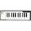 MIDI-клавиатура 25 клавиш Arturia MicroLab Black