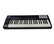 MIDI-клавиатура 49 клавиш LAudio Panda-49C