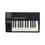 MIDI-клавиатура 25 клавиш LAudio Panda-25C