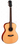 Гитара иной формы Parkwood S22-NS