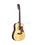 12-струнная гитара Caraya F64012-N