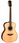 Гитара иной формы Parkwood P820ADK-NAT