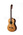 Классическая гитара 4/4 Prodipe JMFRECITAL300
