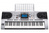 Цифровой синтезатор Rockdale Keys RHK-400