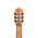 Классическая гитара 4/4 Cascha CGC200