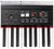 Компактное цифровое пианино Roland RD-300NX