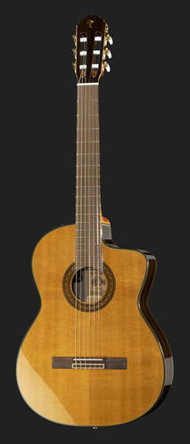 tc132sc