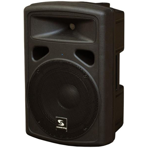 Активная акустическая система Soundking FP0210A