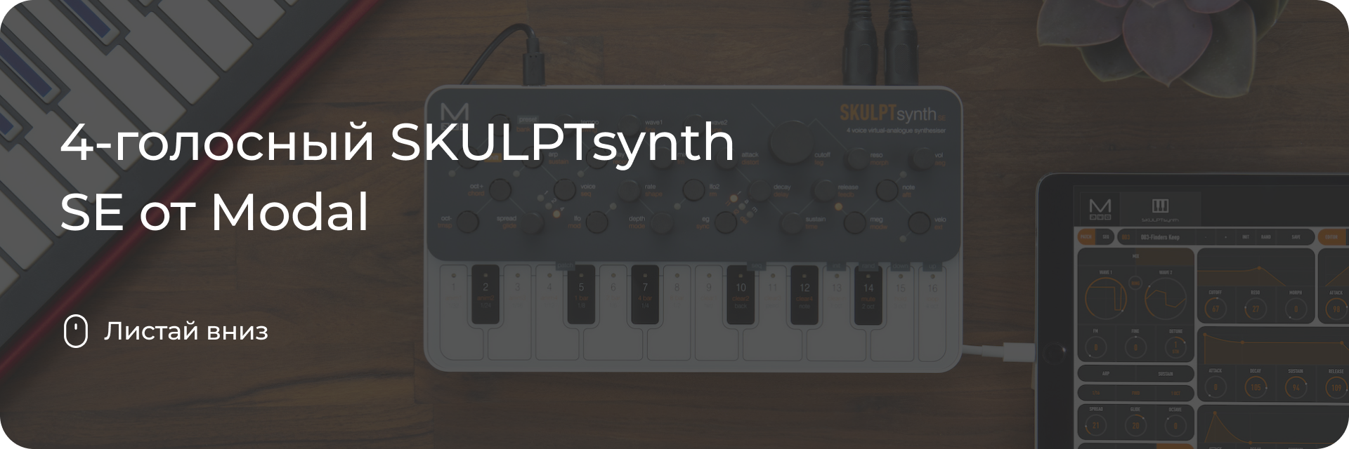 4-голосный SKULPTsynth SE от Modal