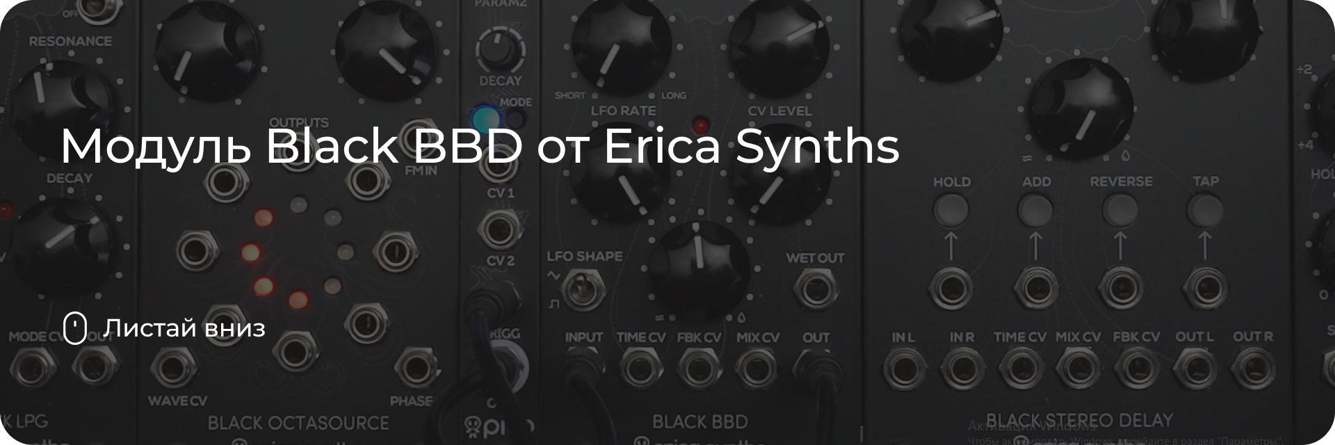 Модуль Black BBD от Erica Synths