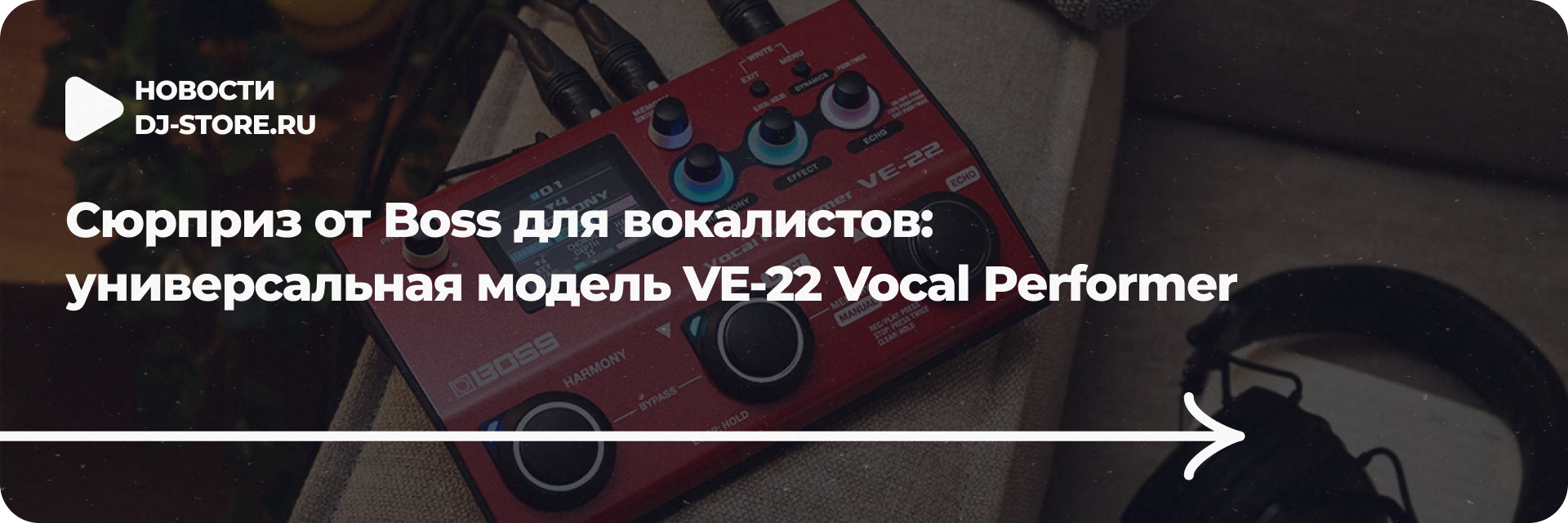 VE-22 Vocal Performer