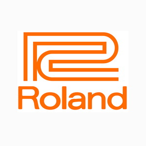 Roland PM100 и PM200 —  комбоусилители для электронных ударных