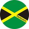 Magma LP-Slipmat Technics Jamaica