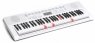 Casio LK-247 Casio LK-247